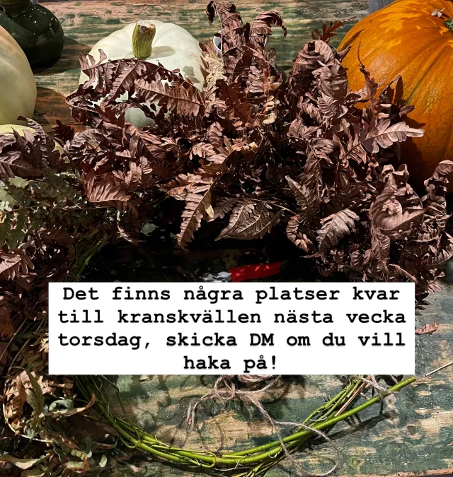 Instagram-inlägg