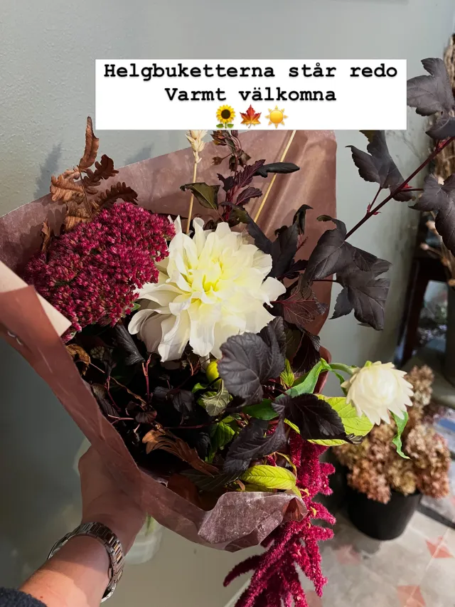 Instagram-inlägg – bild 1 av 4