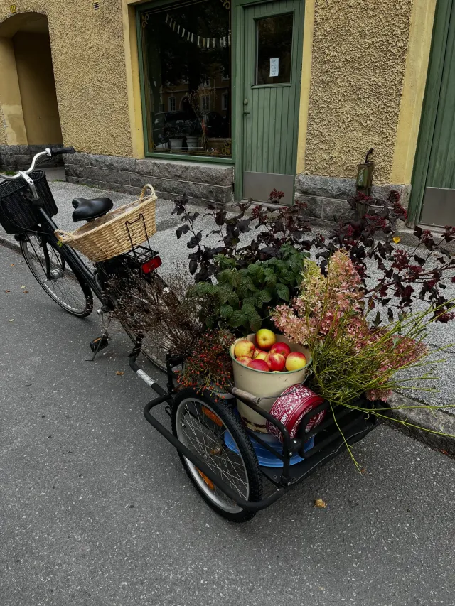 Instagram-inlägg – bild 1 av 5