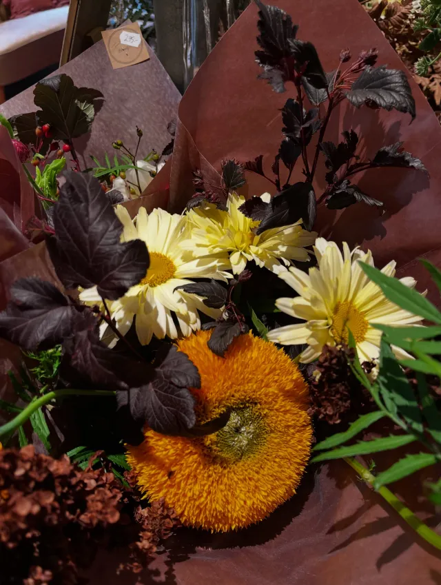Instagram-inlägg – bild 2 av 4